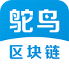 �����������ٷ�app