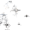 ������3D�漣����ios��