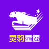 �鱪����