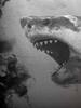 ����ˮ��(Death in the Water)