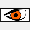 ��ҽ��Ƶ��������Forensic Video Report