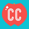 CC �ٳɿ�(Crash Courseѧϰ)