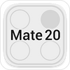 ��ΪMate 20