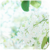 �����Ų��ʱ�appͼ��