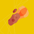Cometinv1.0.2 2026�ٷ����İ�