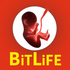 BitLife��׿��(����ģ����)v1.26.1���İ�