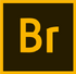 Adobe Bridge 2020 mac��v10.0.0.124 2026�ٷ����İ�
