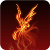 ��˺���app�ٷ���ͼ��