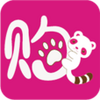 佹�app