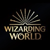 Wizarding world����