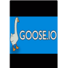 IO(GOOSE.IO)