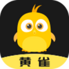 ��ȸ(ʡǮ����)app
