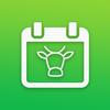 ����app