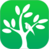����ɭ��app