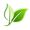 ��ʽ���������ݻָ�LSoft Technologies UNFORMAT