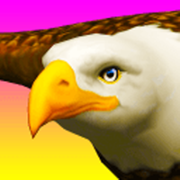 Eagle Ride(ӥ)v1.0 ׿