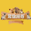 �����Ƽ�ͼ��