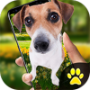 iDog������Ļ��ͼ��