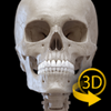 �����������ѧ3D����ͼ��