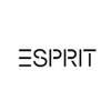 Esprit(˼��)