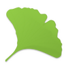 �����Կ�Ƭʽд������Gingko