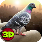 City Bird Pigeon Simulator 3D(ģPigeon Simulator 2019)