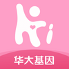 Hibaby̥����ͼ��