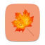 ��Ҷ������������(��վ����)V1.0վ���ر�����