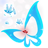 ����������app