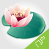 �ӱ�����΢�Ż�app
