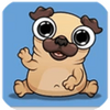 �ҵĳ�������Pug