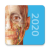 2020�������ѧͼ��atlas