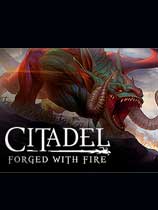 ݻ֮(Citadel: Forged with Fire)ⰲװɫ