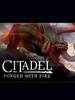 ���ݻ���֮��(Citadel: Forged with Fire)