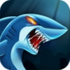 Sea Dash(���׳��)