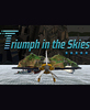 ��������(Triumph in the Skies)