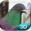 Pigeon Simulator(����һֻ�ɰ��ĸ���)