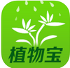 ֲ�ﱦAPP