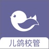����У��app