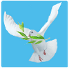 �׸�ͼ��