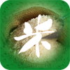 �л�������app