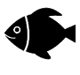 Copyfish������