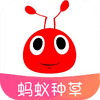 �����ֲ�