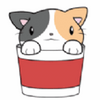 Noodles and Me(��������)