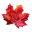 ��½ip��֤����
