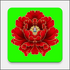 ��ֲ����app7.0