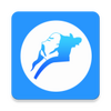 �ǻ۽���