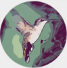 Mac���ذ�������ڹ���Hummingbird