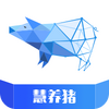 ������app
