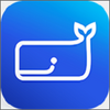 ����˾����app
